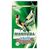 Manitoba - Mixtura Jilgueros Carduelidi, 2.5KG