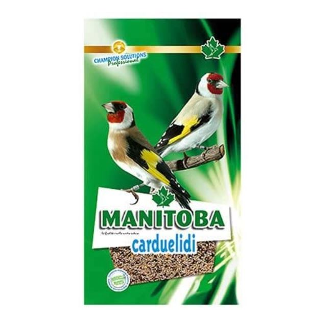 Manitoba carduelidi